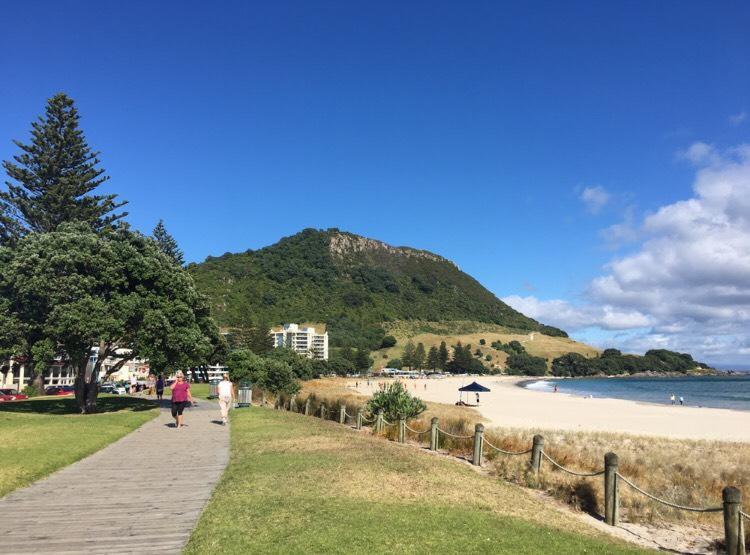 Victoria Road B&B Mount Maunganui Exteriér fotografie